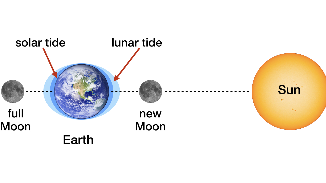 Solar and Lunar Tides Designed for Complex Life Reasons to Believe