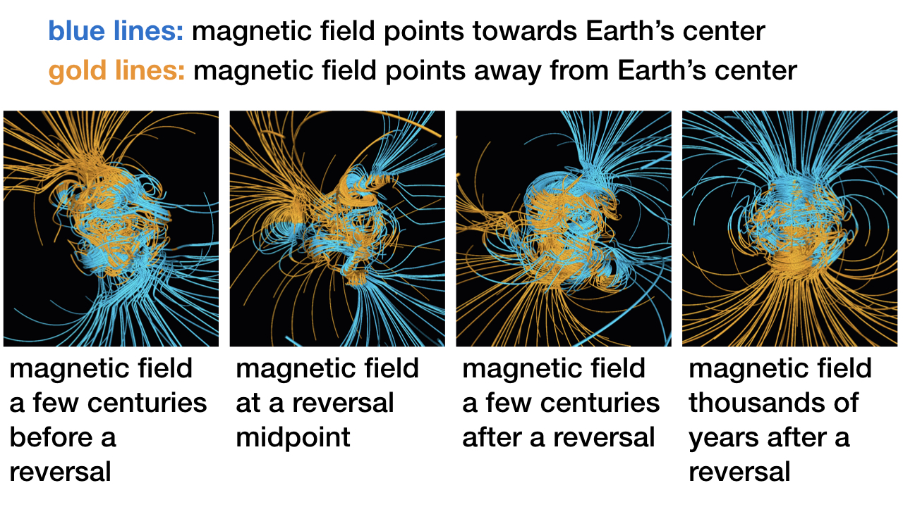 Life Magnetic Field Variations - Reasons to Believe