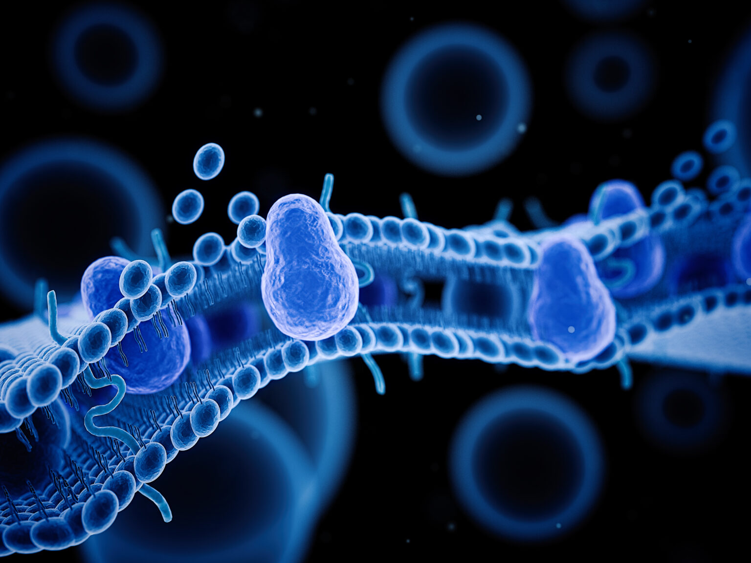 Biotic Borders: Cell Membranes Under Scrutiny