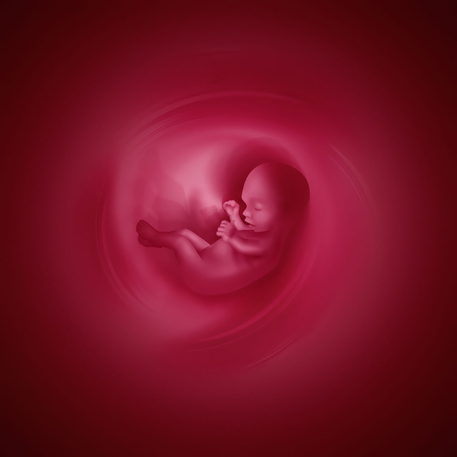 Placenta Optimization Shows Creator’s Handiwork