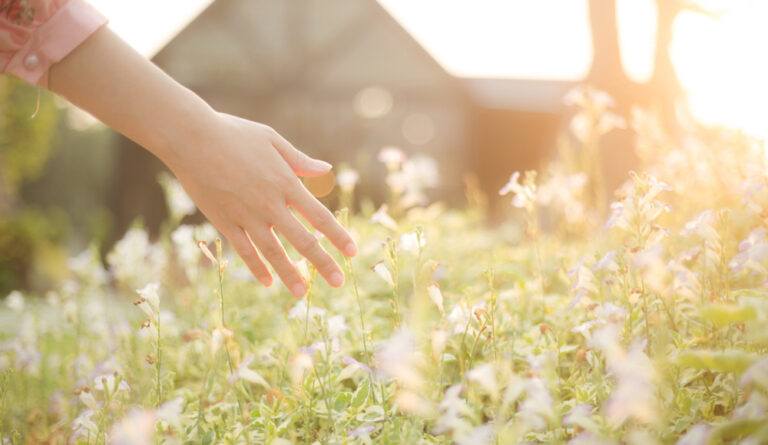 The Argument from Beauty: Can Evolution Explain Our Aesthetic Sense?
