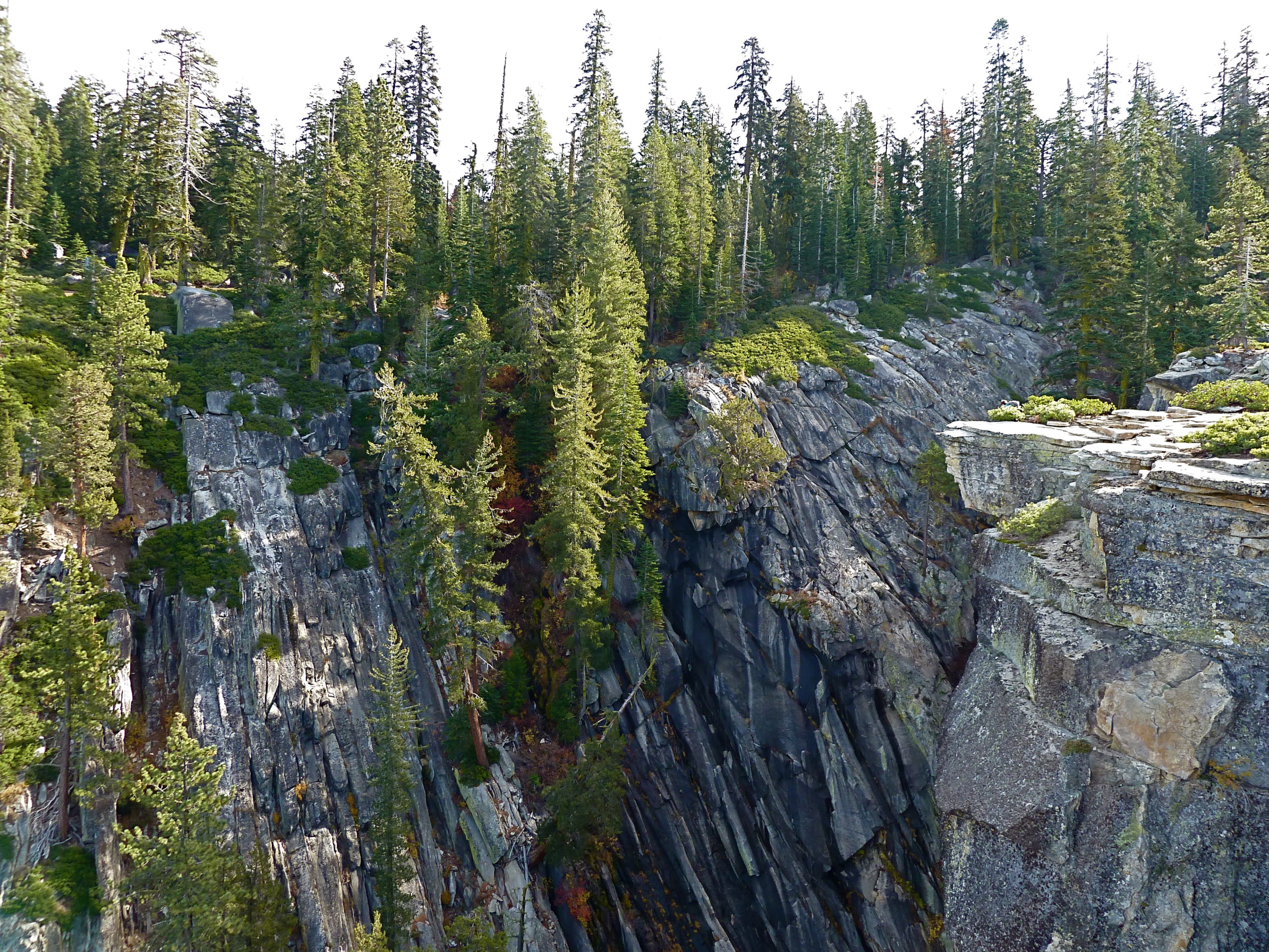 Design Implications of Bedrock Water and Woody Plants