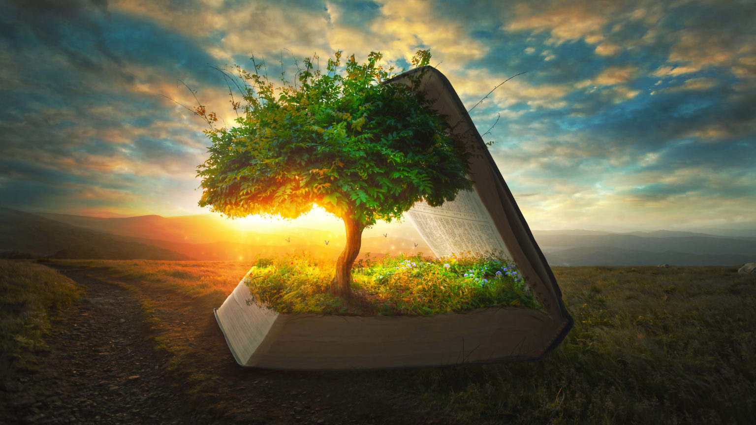 Does Psalm 104 Affirm Progressive Creation?