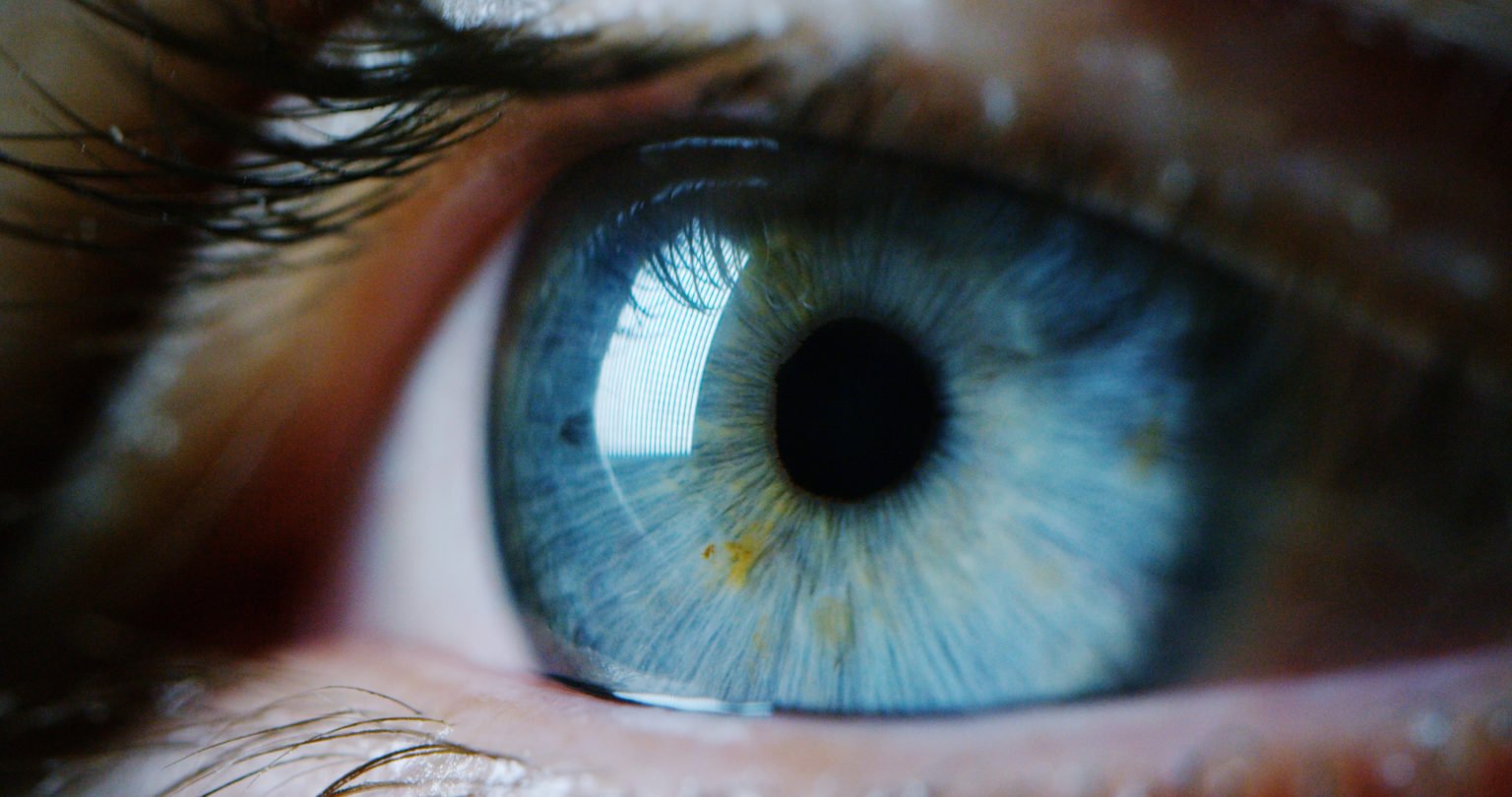 Cone Cell Mitochondria Focus Attention on Eye Design