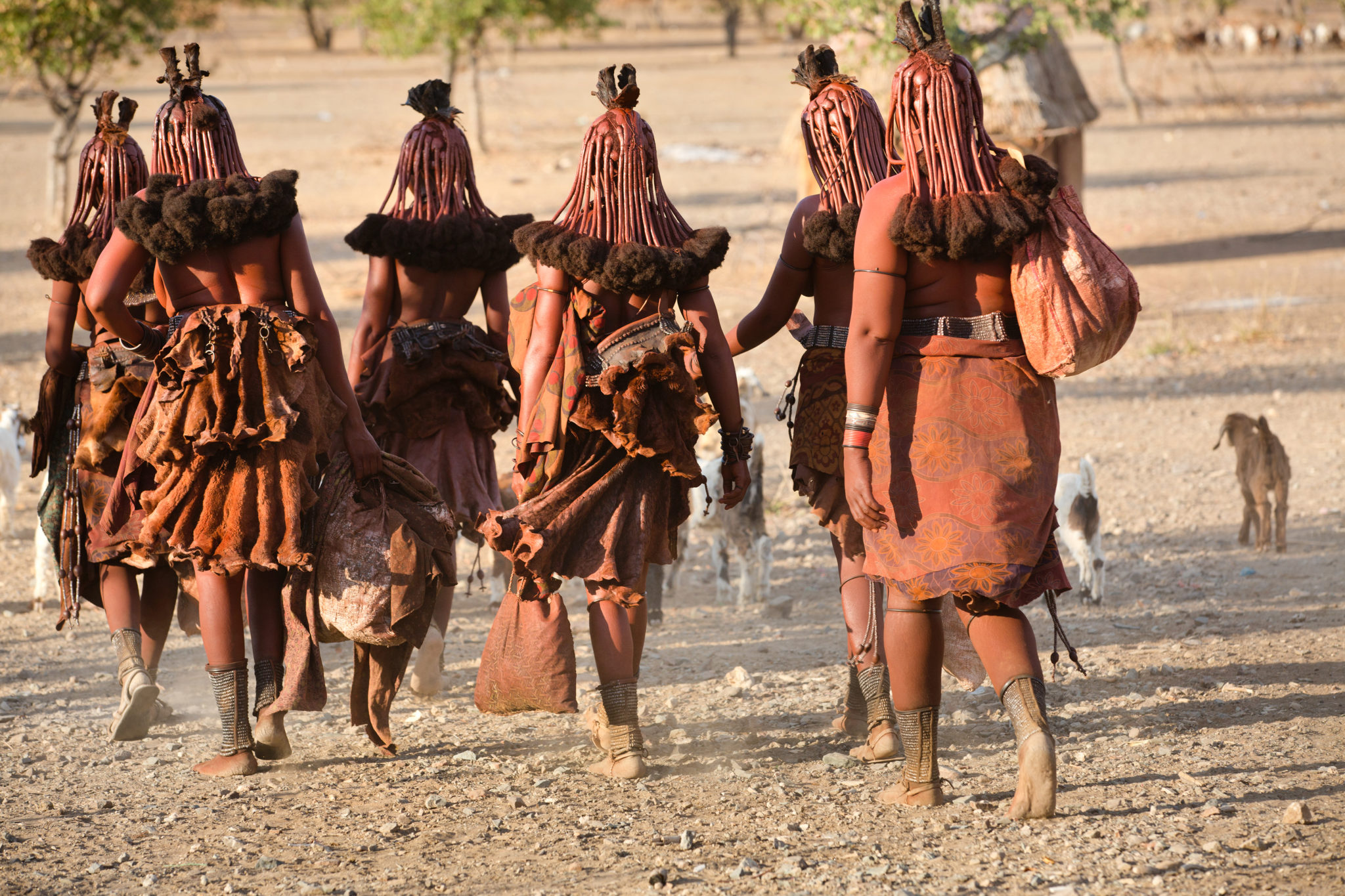 Himba,Women,Go,Back,To,The,Village,Near,Opuwo,Town