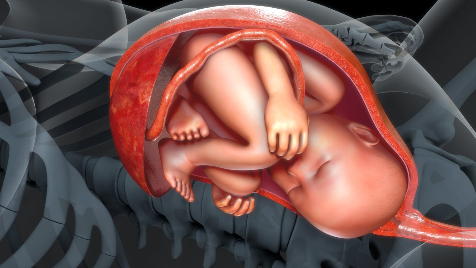 Life’s Twists and Turns Are Designed to Start in the Birth Canal