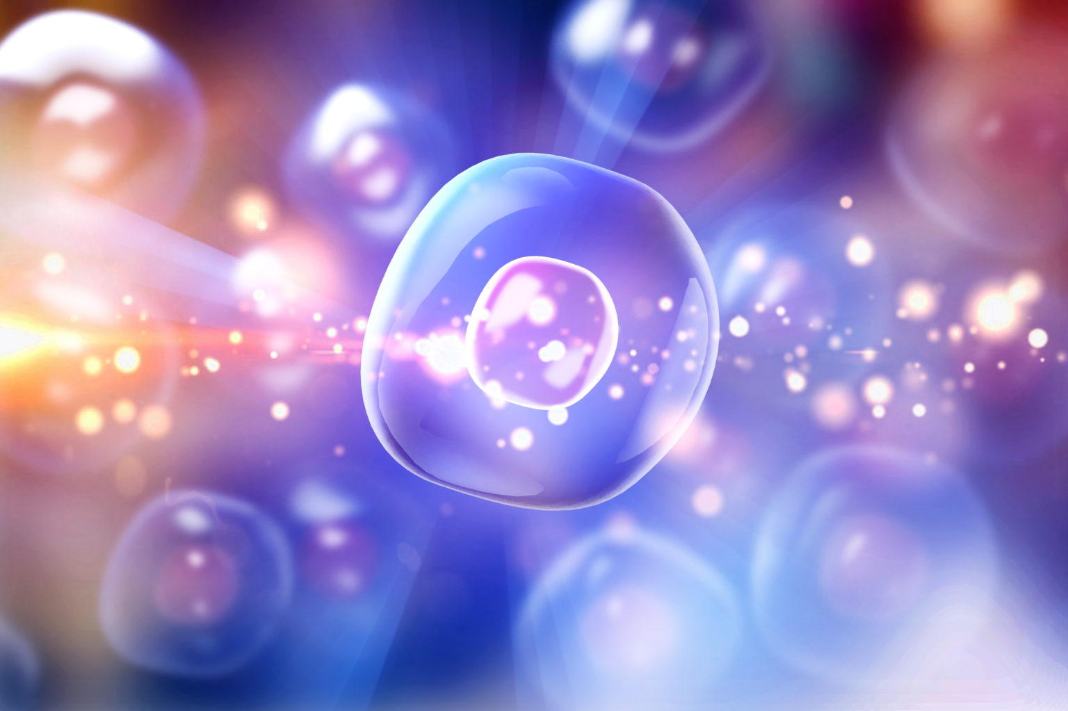 Evidence That the Cell’s Metabolism Is Planned