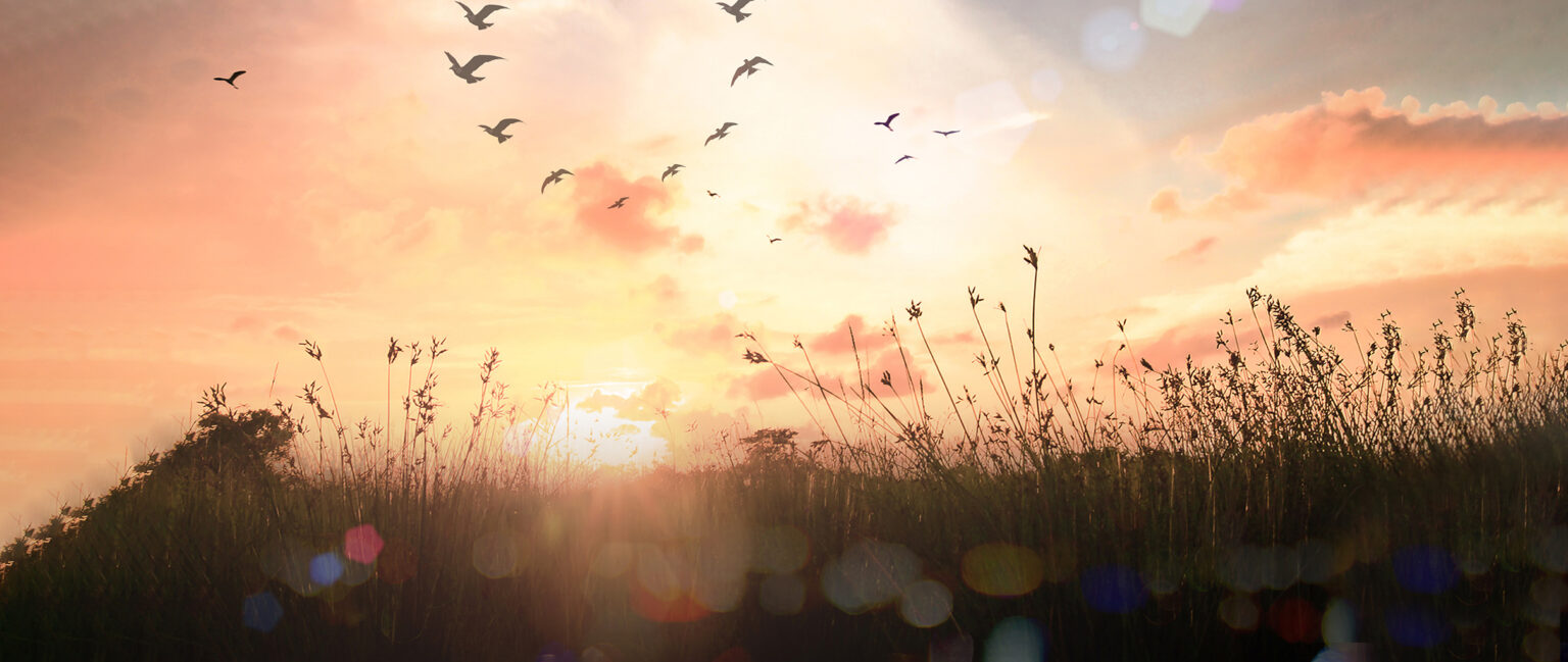 Universe’s Beginning: Naturalistic Mechanisms or Creation?