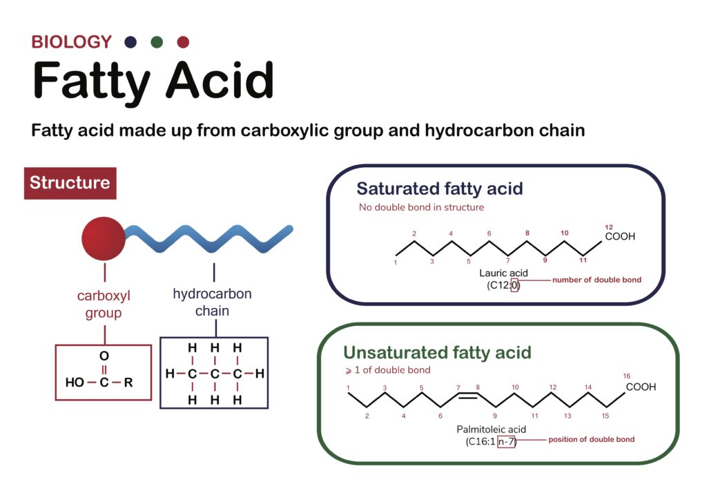 unsaturated hydrocarbon chain