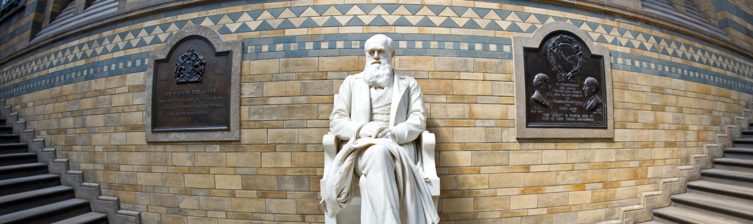 What Darwin Didn’t Know about the Sun