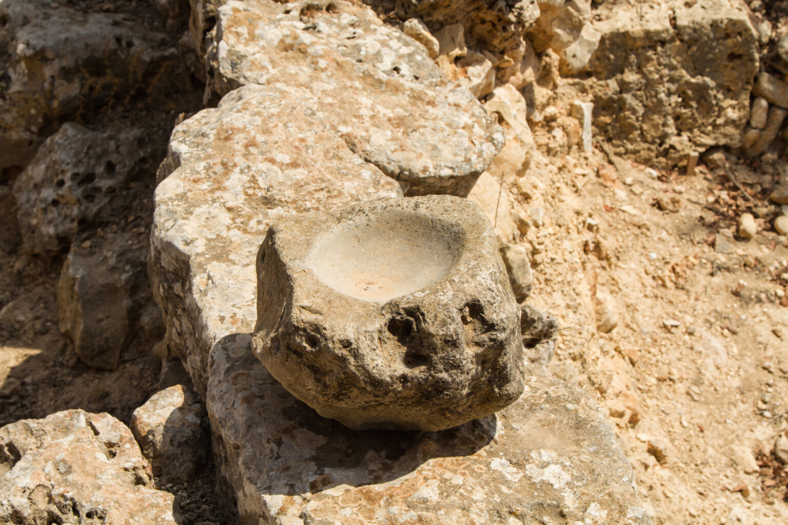 Early Humans’ Complex Food Preparation Supports Exceptionalism