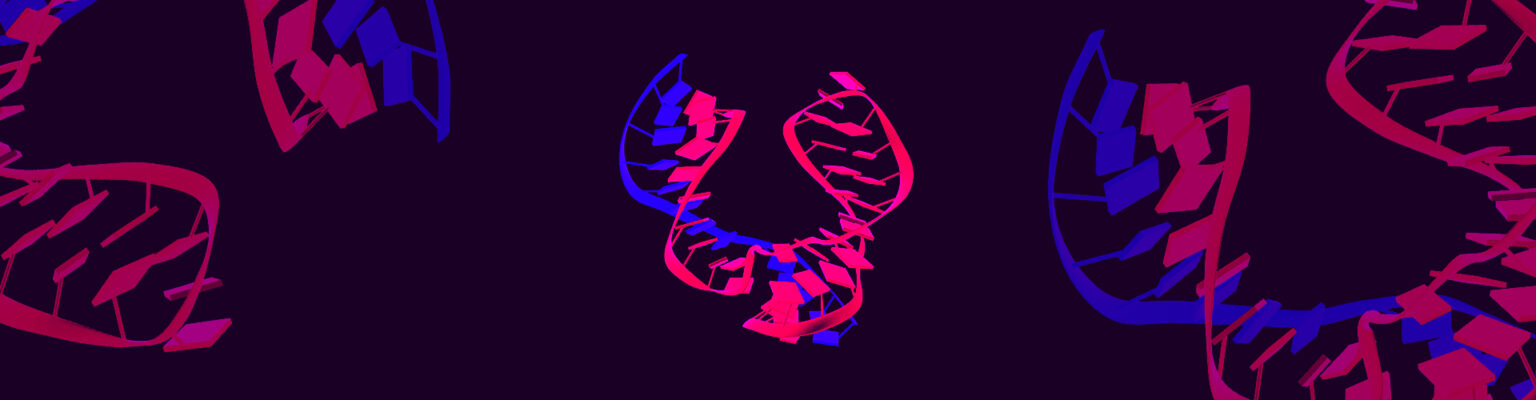 Just-Right RNA Structure Points to Intentional Design