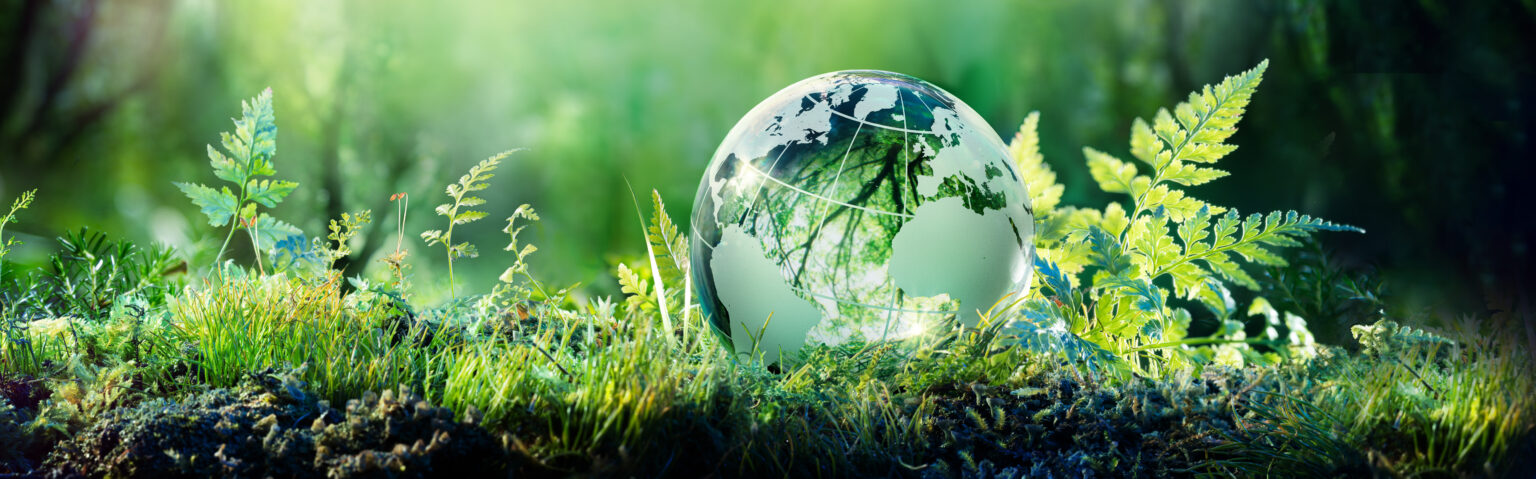 Why So Much Time between the Creation of Earth and Adam?
