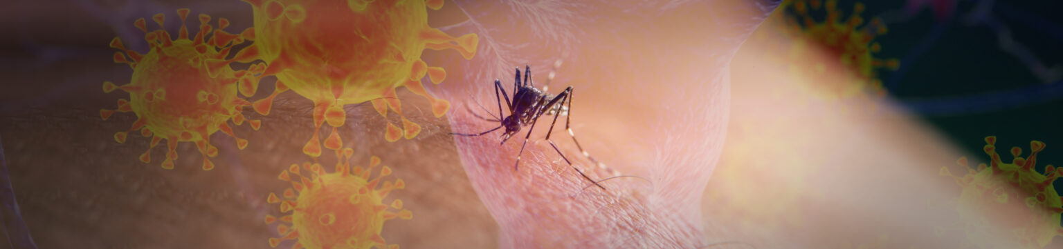 Don’t Viruses, Mosquitoes, and Cancer Make God’s Character Suspect?