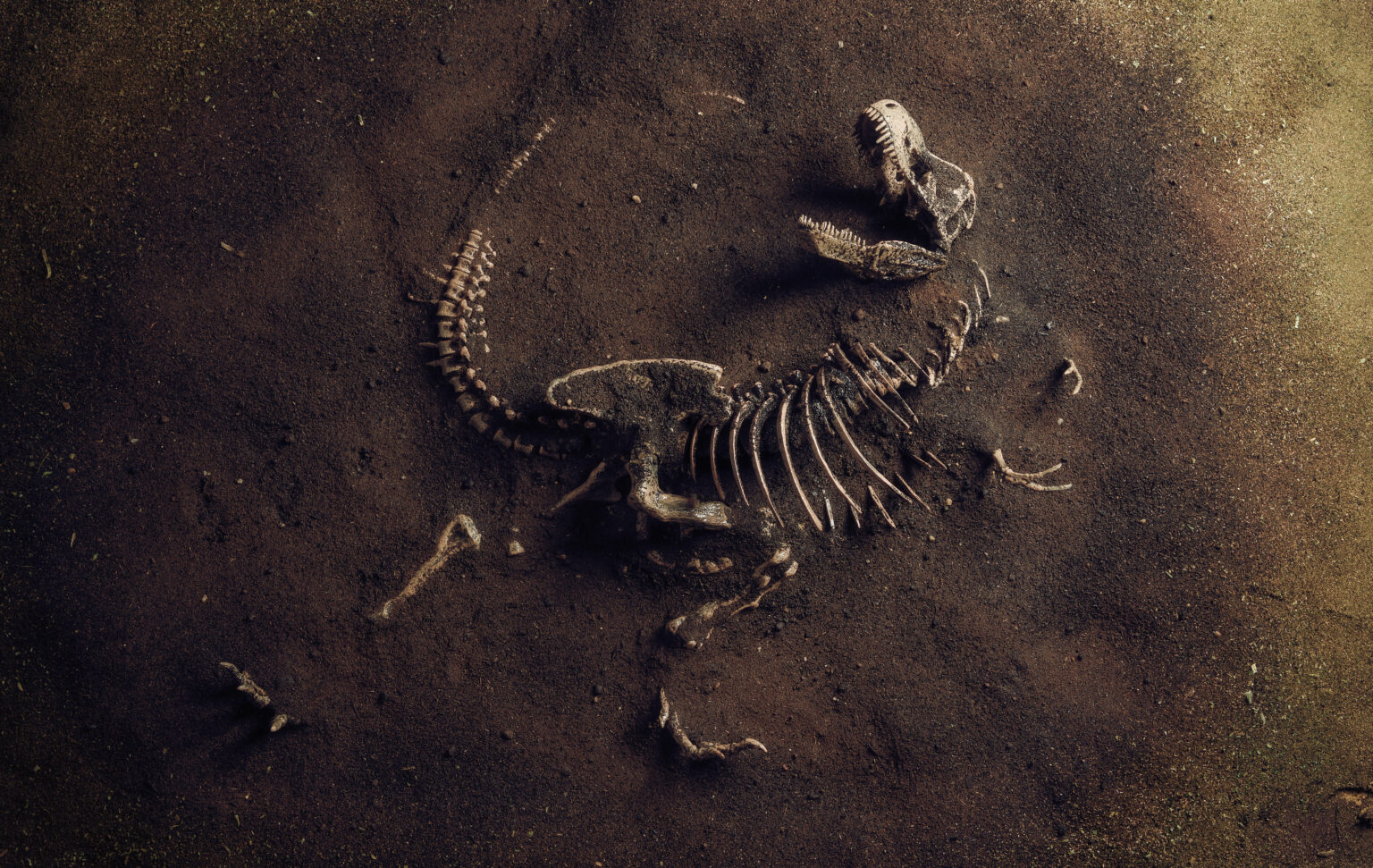 Does Microevolution Plus Time Equal Macroevolution?