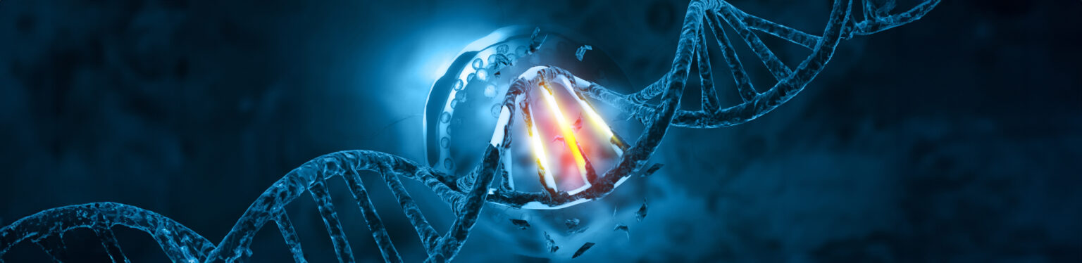 Mutational Bias Challenges Neo-Darwinism