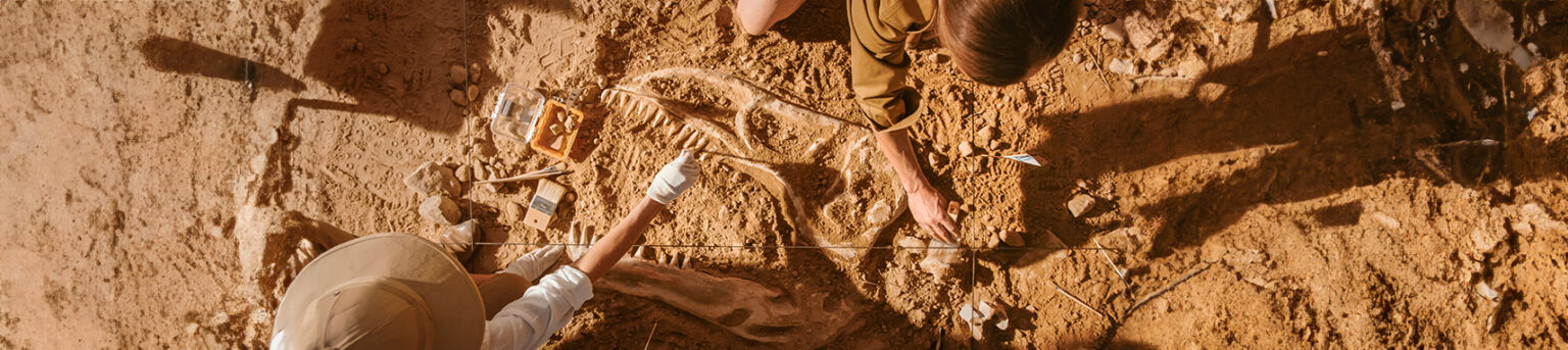Q&A: Do Extinctions in the Fossil Record Undermine Creation?