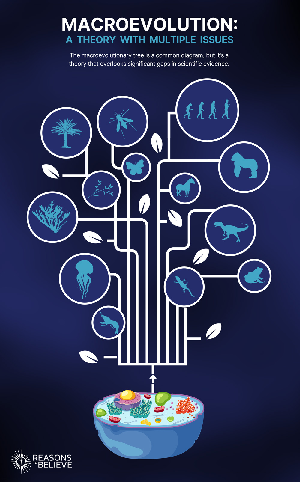 Microevolution vs. Macroevolution: Why the Difference Matters - Reasons ...