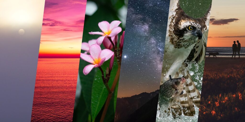 What Are the Days of Creation?