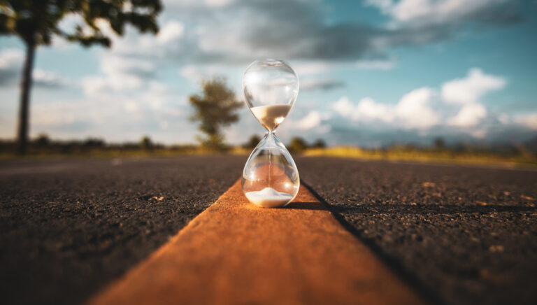 What Should I Do With My Life?