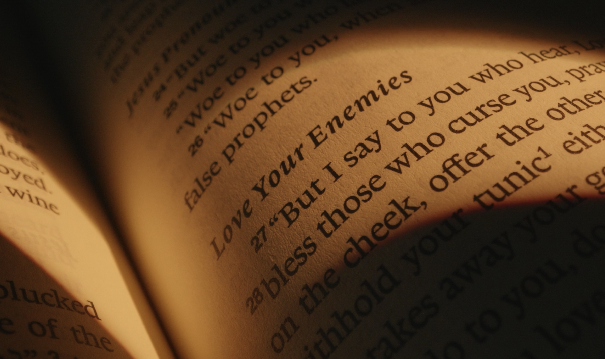 The Bible