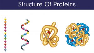 blog__inline-biochemical-grammar-communicates-2 blog__inline-biochemical-grammar-communicates-2