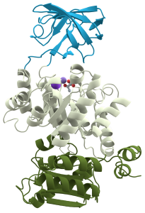 blog__inline-biochemical-grammar-communicates-3 blog__inline-biochemical-grammar-communicates-3