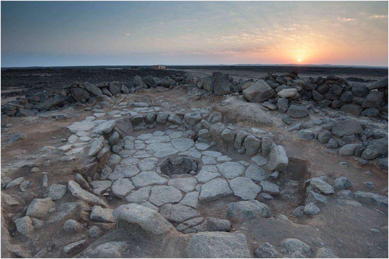 blog__inline-confirmation-that-early-humans-were-making-bread blog__inline-confirmation-that-early-humans-were-making-bread