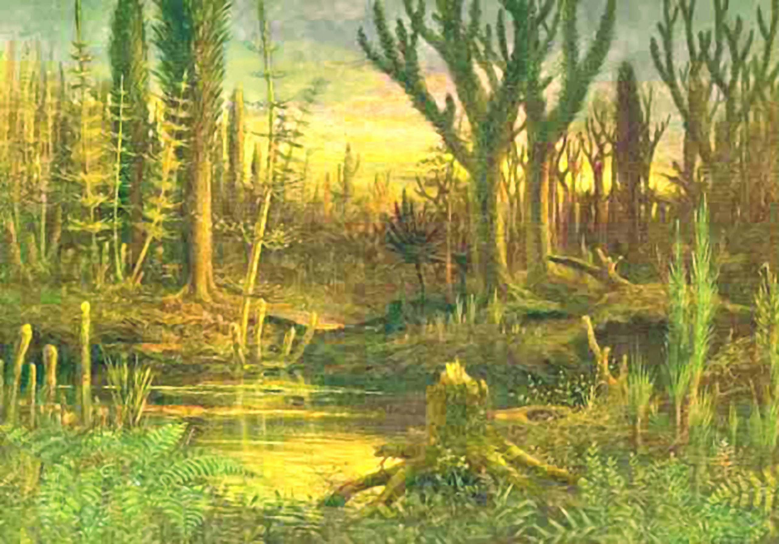blog__inline-did-god-or-evolution-create-plants blog__inline-did-god-or-evolution-create-plants