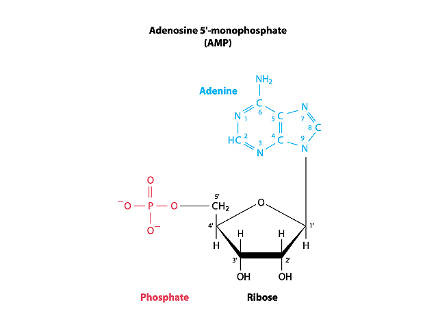 blog__inline-dna-designed-for-flexibility-1 blog__inline-dna-designed-for-flexibility-1