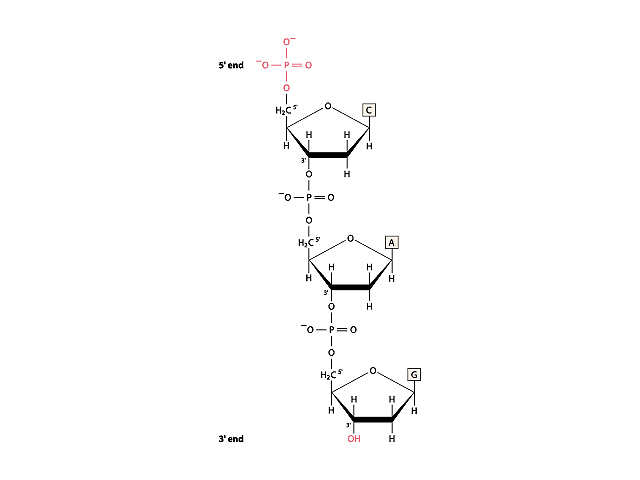 blog__inline-dna-designed-for-flexibility-2 blog__inline-dna-designed-for-flexibility-2