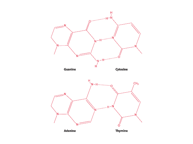 blog__inline-dna-designed-for-flexibility-3 blog__inline-dna-designed-for-flexibility-3