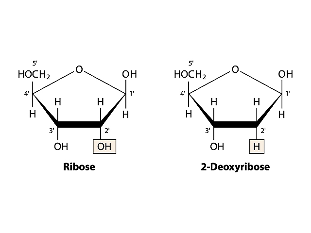 blog__inline-dna-designed-for-flexibility-5 blog__inline-dna-designed-for-flexibility-5