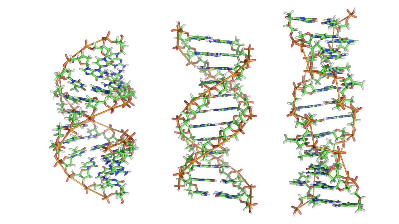 blog__inline-five-best-scientific-evidences-2 blog__inline-five-best-scientific-evidences-2