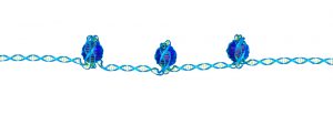 blog__inline-genome-code-builds-the-case-for-creation-1 blog__inline-genome-code-builds-the-case-for-creation-1