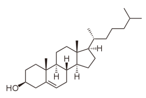 blog__inline-is-fossil-asscociated-cholesterol-2 blog__inline-is-fossil-asscociated-cholesterol-2