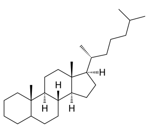 blog__inline-is-fossil-asscociated-cholesterol-3 blog__inline-is-fossil-asscociated-cholesterol-3