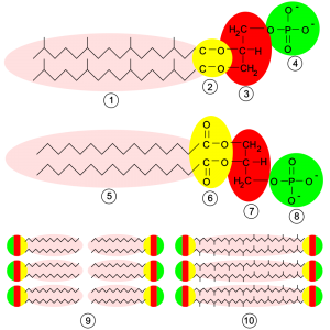 blog__inline-membrane-biochemistry-challenges blog__inline-membrane-biochemistry-challenges
