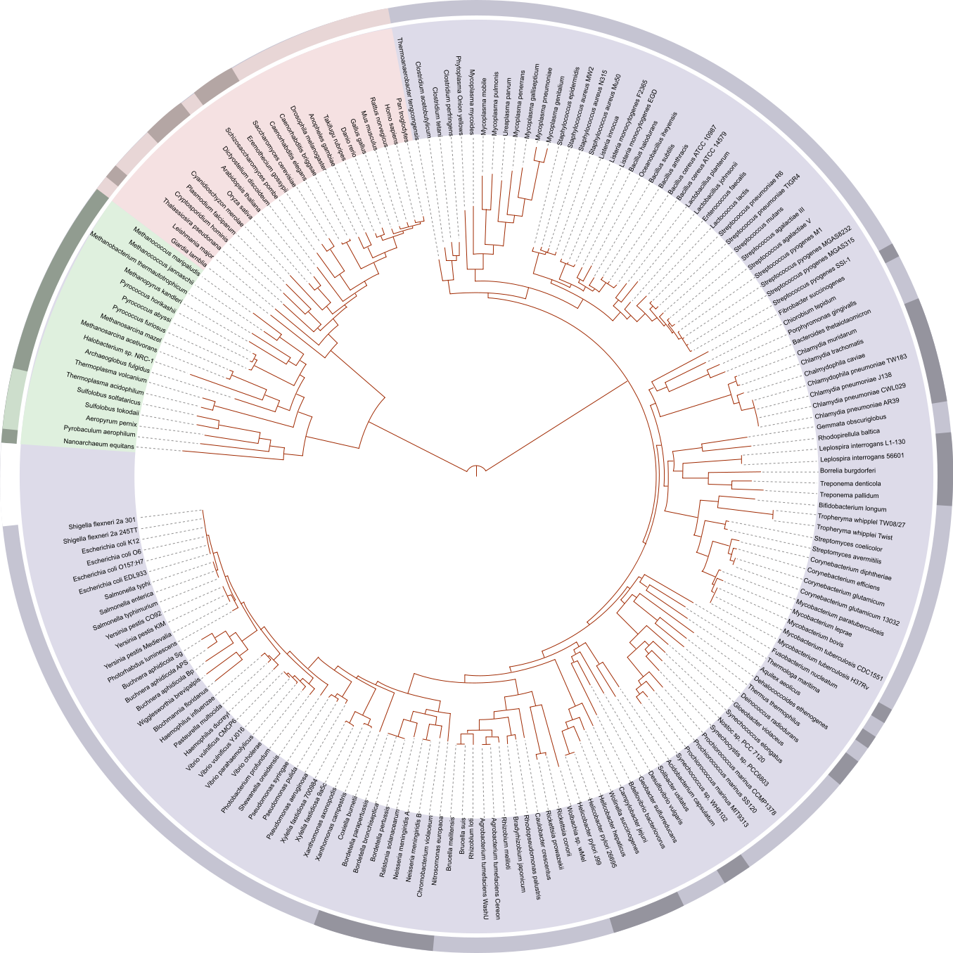 blog__inline-new-speciation-model-challenges-evolution-1 blog__inline-new-speciation-model-challenges-evolution-1
