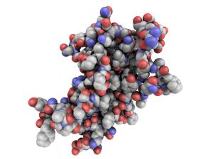 blog__inline-scientists-reverse-the-aging-process-1 blog__inline-scientists-reverse-the-aging-process-1