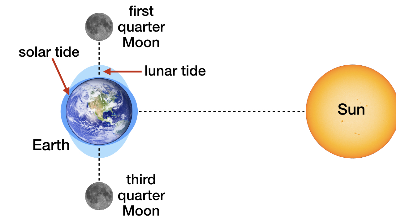 Solar and Lunar Tides Designed for Complex Life - Reasons to Believe