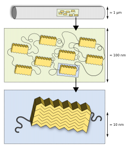 blog__inline-spider-silk-inspires-new-technology blog__inline-spider-silk-inspires-new-technology