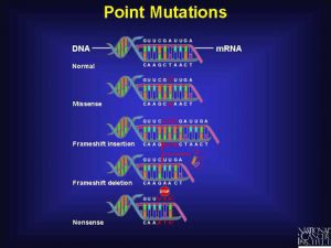 blog__inline-the-optimal-design-of-the-genetic-code-4 blog__inline-the-optimal-design-of-the-genetic-code-4