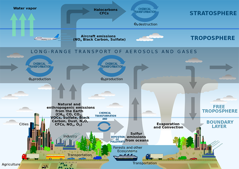 blogs__inline-what-Is-a-scientific-model blogs__inline-what-Is-a-scientific-model