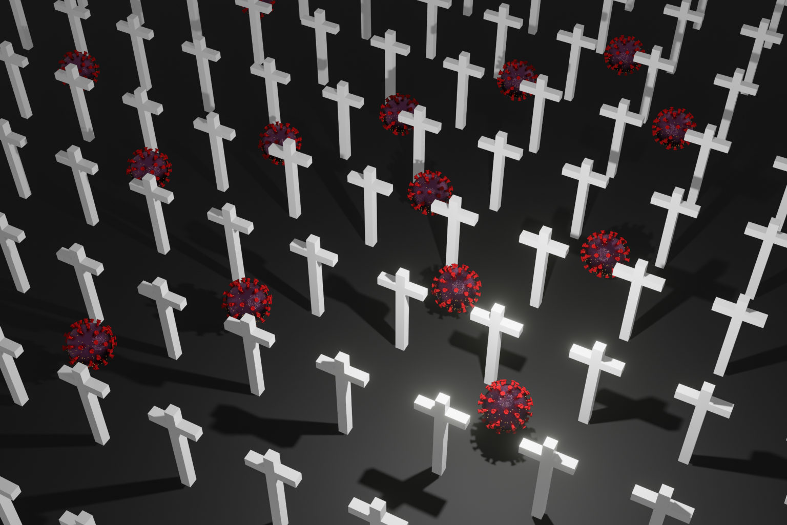 A Christian Perspective on the Sixth Mass Extinction
