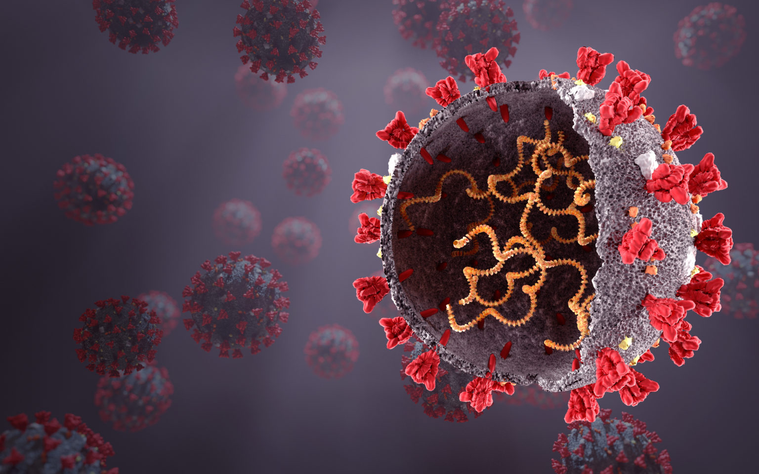 SARS-CoV-2 Biology Points to Endogenous Retrovirus Design