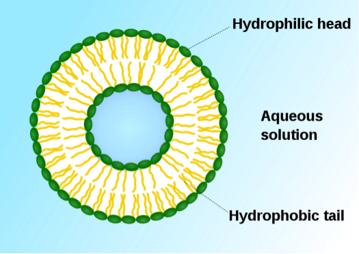 tnrtb__inline--artificial-life-ready-or-not-here-it-comes Liposome Scheme